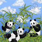 panda souvenir gift products