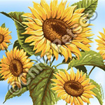 sunflowers souvenir gift products