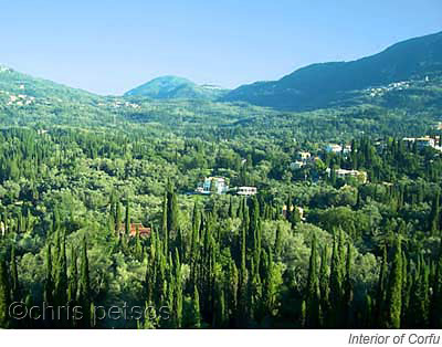 corfu countryside forested